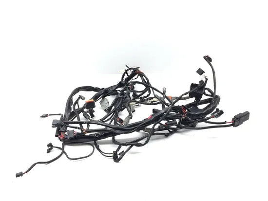 Main Engine Wiring Harness 2004 Harley-Davidson Road King Custom FLHRS 3220