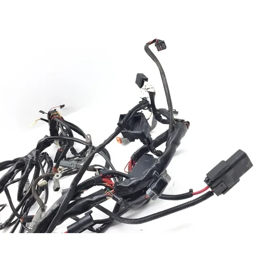 Main Engine Wiring Harness 2004 Harley-Davidson Road King Custom FLHRS 3220 3