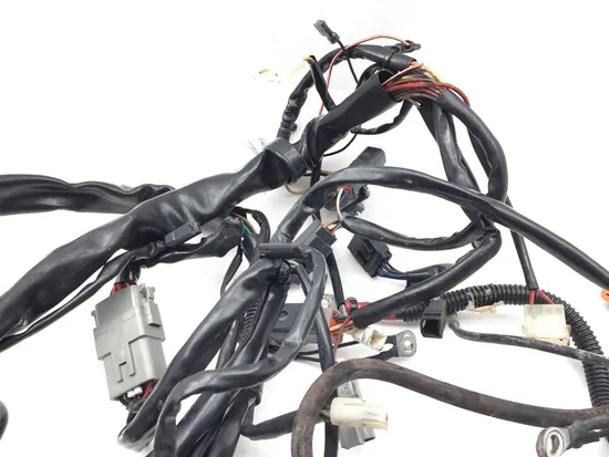 Main Engine Wiring Harness 2004 Harley-Davidson Road King Custom FLHRS 3220
