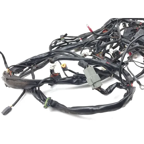 Main Engine Wiring Harness 2004 Harley-Davidson Road King Custom FLHRS 3220 6