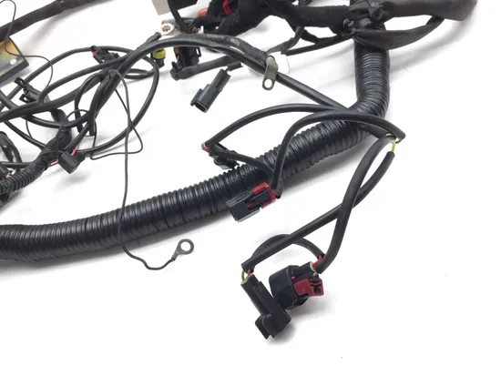 Main Engine Wiring Harness 2007 Harley-Davidson Dyna Wide Glide FXDWG 3234 3