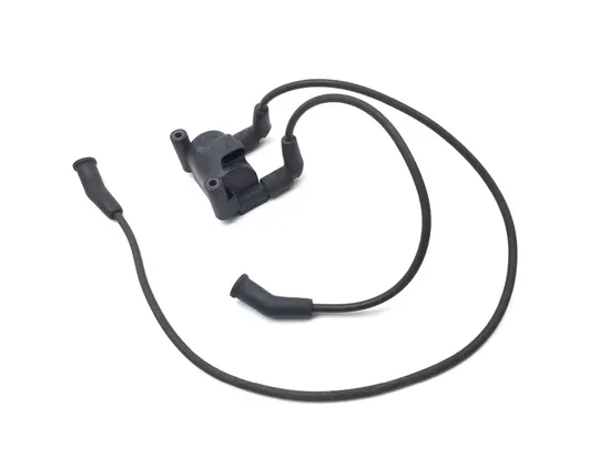 Ignition Coil Set 2010 Harley-Davidson Street Glide FLHX 3221