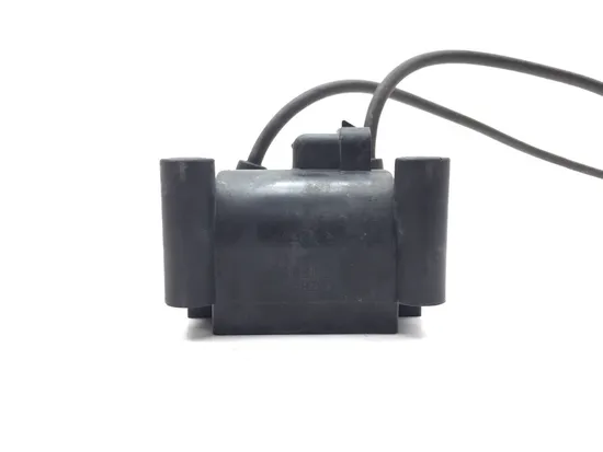 Ignition Coil Set 2010 Harley-Davidson Street Glide FLHX 3221