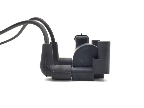 Ignition Coil Set 2010 Harley-Davidson Street Glide FLHX 3221