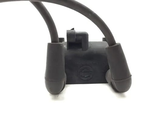 Ignition Coil Set 2010 Harley-Davidson Street Glide FLHX 3221