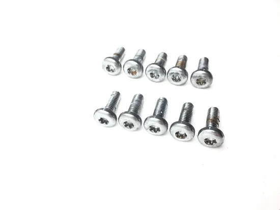 Front Brake Rotor Bolts 2010 Harley-Davidson Street Glide FLHX 3221