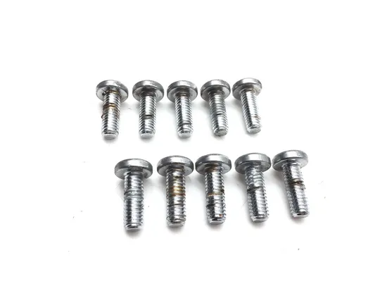 Front Brake Rotor Bolts 2010 Harley-Davidson Street Glide FLHX 3221