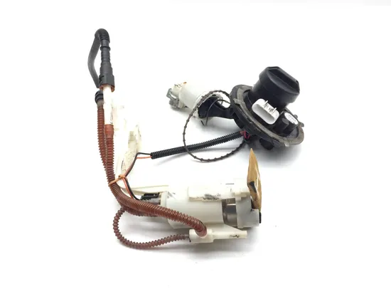 Gas Fuel Tank Pump 2010 Harley-Davidson Street Glide FLHX 3221