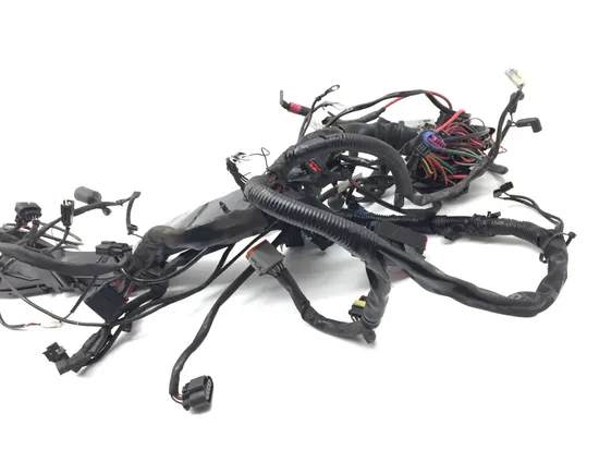 Main Engine Wiring Harness 2010 Harley-Davidson Street Glide FLHX 3221 PARTS