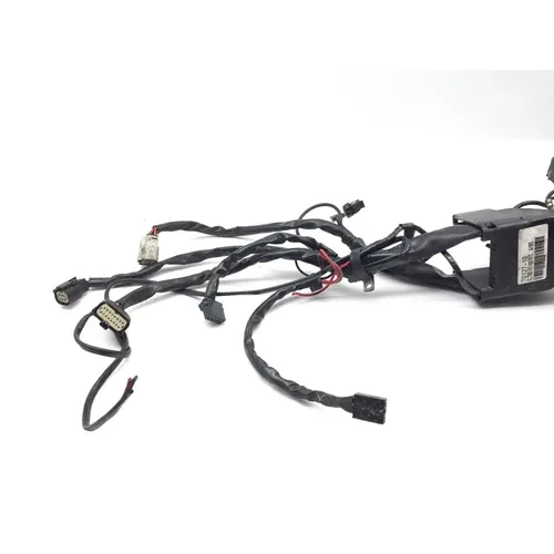Main Engine Wiring Harness 2010 Harley-Davidson Street Glide FLHX 3221 PARTS 7