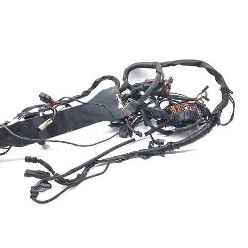 Main Engine Wiring Harness 2010 Harley-Davidson Street Glide FLHX 3221 PARTS 6
