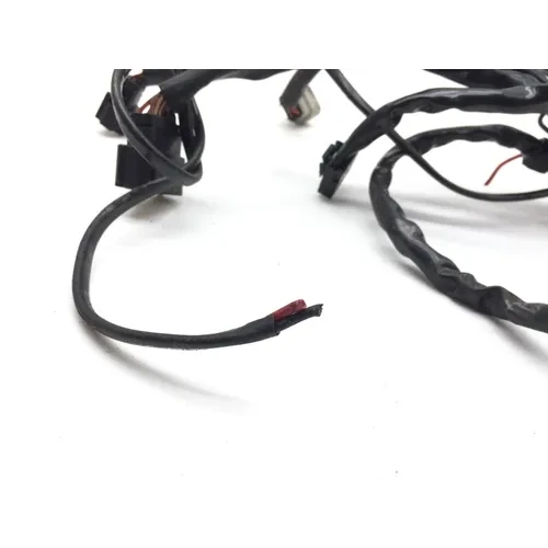 Main Engine Wiring Harness 2010 Harley-Davidson Street Glide FLHX 3221 PARTS 3