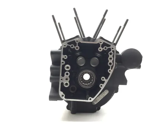 Engine Left Right Center Cases 2016 Harley-Davidson Street Glide FLHX 3223 x