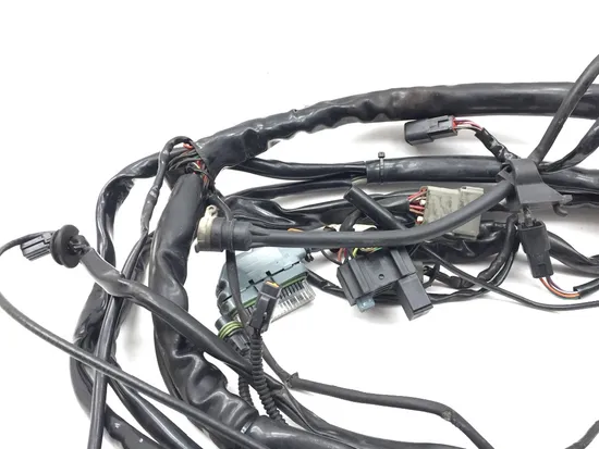 Main Engine Wiring Harness 2005 Harley Electra Ultra Classic EFI FLHTCUI 3219
