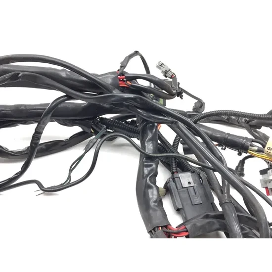 Main Engine Wiring Harness 2005 Harley Electra Ultra Classic EFI FLHTCUI 3219 5