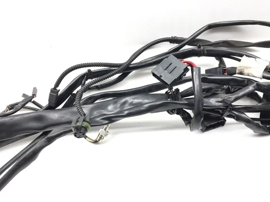 Main Engine Wiring Harness 2005 Harley Electra Ultra Classic EFI FLHTCUI 3219