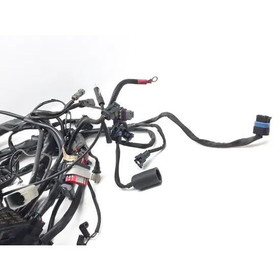 Main Engine Wiring Harness 2005 Harley Electra Ultra Classic EFI FLHTCUI 3219 4