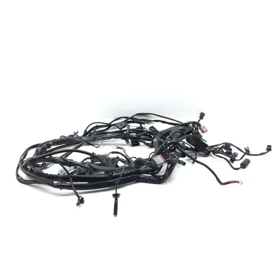 Main Engine Wiring Harness 2005 Harley Electra Ultra Classic EFI FLHTCUI 3219 6
