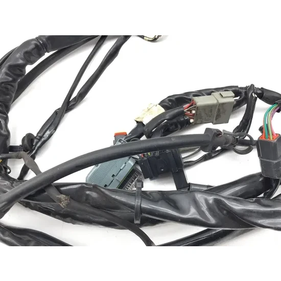 Main Engine Wiring Harness 2005 Harley Electra Ultra Classic EFI FLHTCUI 3219 7