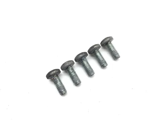 Rear Brake Rotor Disc Bolts 2010 Harley-Davidson Street Glide FLHX 3221