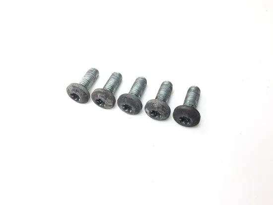 Rear Brake Rotor Disc Bolts 2010 Harley-Davidson Street Glide FLHX 3221