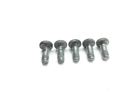 Rear Brake Rotor Disc Bolts 2010 Harley-Davidson Street Glide FLHX 3221