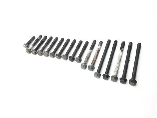 Engine Left Right Center Case Bolts 2006 Suzuki DRZ400S 3218