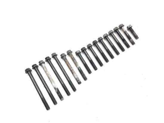 Engine Left Right Center Case Bolts 2006 Suzuki DRZ400S 3218