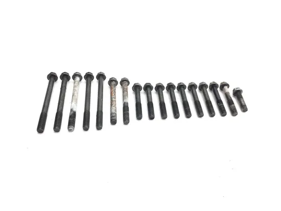 Engine Left Right Center Case Bolts 2006 Suzuki DRZ400S 3218