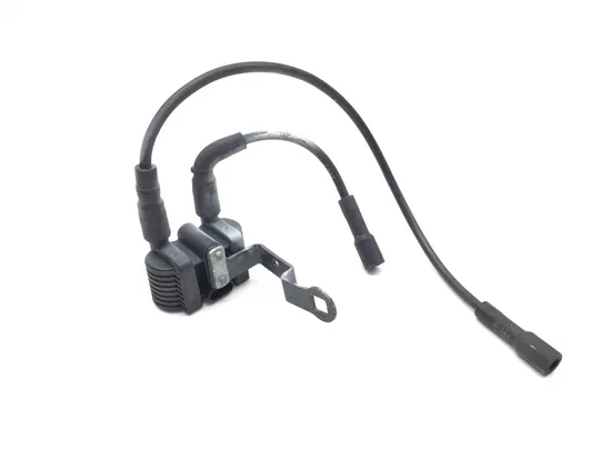 Ignition Coil Set 2008 Harley-Davidson Sportster 1200 Low XL1200L 3222 x