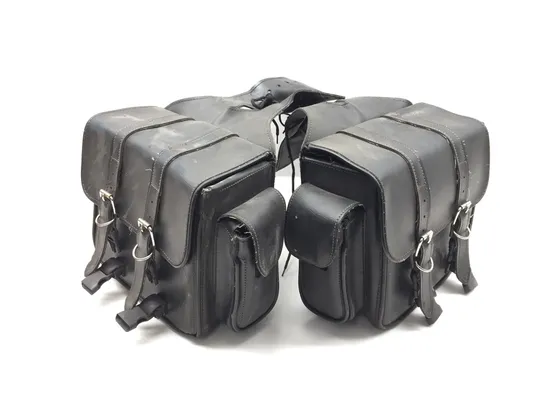 Saddlebags 2008 Harley-Davidson Sportster 1200 Low XL1200L 3222 x