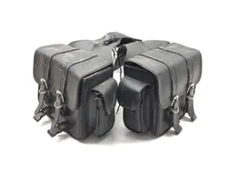 Saddlebags 2008 Harley-Davidson Sportster 1200 Low XL1200L 3222 x