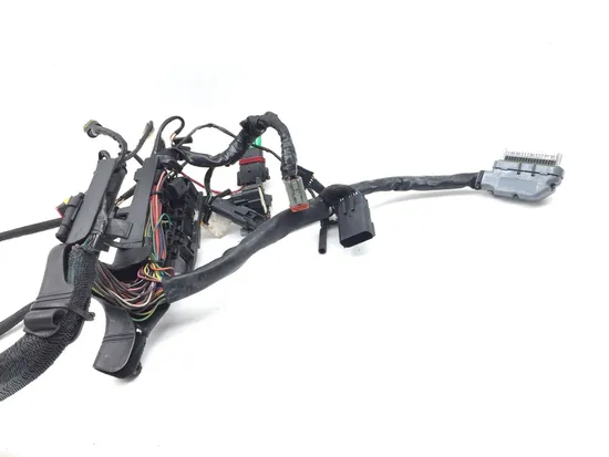 Main Engine Wiring Harness 2008 Harley-Davidson Sportster 1200 Low XL1200L 3222