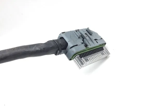 Main Engine Wiring Harness 2008 Harley-Davidson Sportster 1200 Low XL1200L 3222