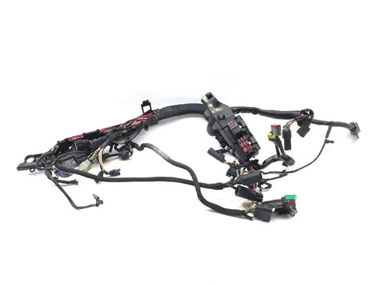 Main Engine Wiring Harness 2008 Harley-Davidson Sportster 1200 Low XL1200L 3222