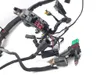Main Engine Wiring Harness 2008 Harley-Davidson Sportster 1200 Low XL1200L 3222