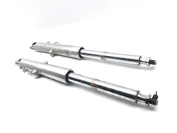 Front Forks Tubes Legs 2000 Harley Electra Glide Classic EFI FLHTCI 3237 x
