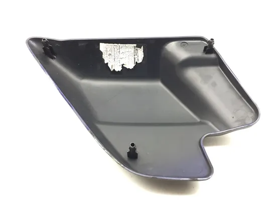 Right Side Cover 2000 Harley-Davidson Electra Glide Classic EFI FLHTCI 3237 x