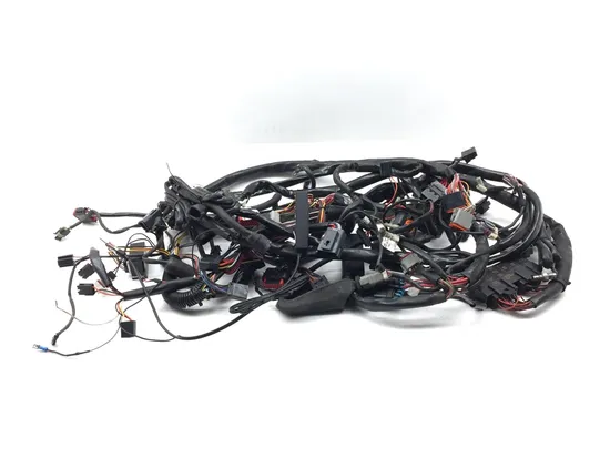 Main Engine Wiring Harness 2000 Harley Electra Glide Classic FLHTCI 3237 PARTS