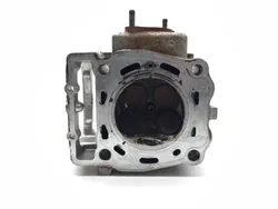 Engine Cylinder Head Complete W Cams Valves 2013 Polaris Sportsman 500 HO 3241