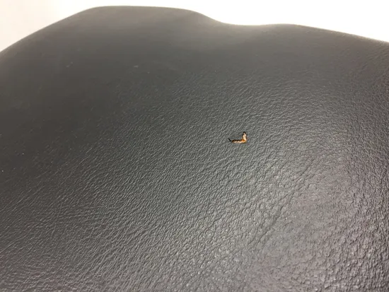 Complete Seat Assembly 2013 Polaris Sportsman 500 4x4 HO 3241 x