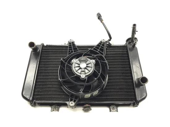 Radiator Cooling Front Fluid with Fan 2022 BMW G310R 3238 x