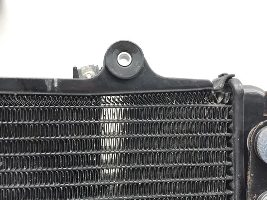 Radiator Cooling Front Fluid with Fan 2022 BMW G310R 3238 x