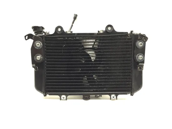 Radiator Cooling Front Fluid with Fan 2022 BMW G310R 3238 x