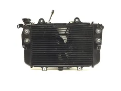 Radiator Cooling Front Fluid with Fan 2022 BMW G310R 3238 x