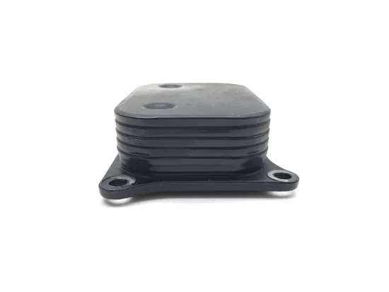 Engine Oil Cooler 2022 BMW G310R 3238