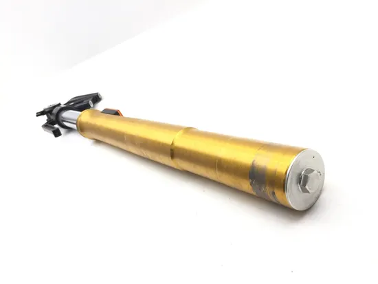 Front Forks Tubes Legs 2022 BMW G310R 3238 x