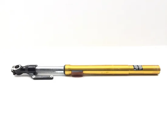 Front Forks Tubes Legs 2022 BMW G310R 3238 x