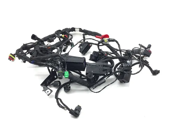 Main Engine Wiring Harness 2022 BMW G310R 3238 PARTS