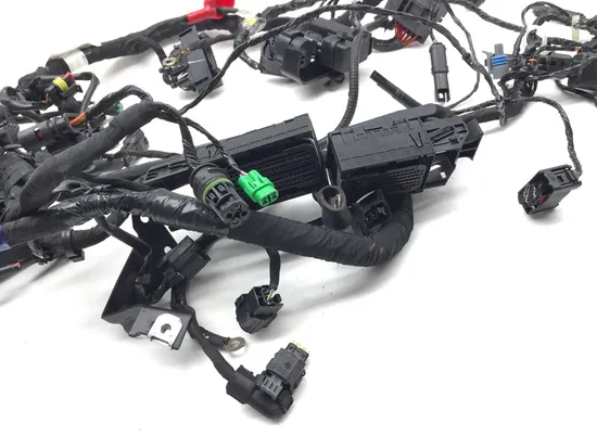 Main Engine Wiring Harness 2022 BMW G310R 3238 PARTS